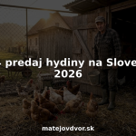 Gazda kŕmi sliepky na vidieckom dvore na Slovensku.